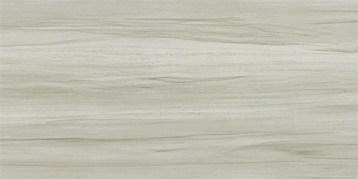 中生代木化石 / CM126511 / 600x1200mm / 木纹砖